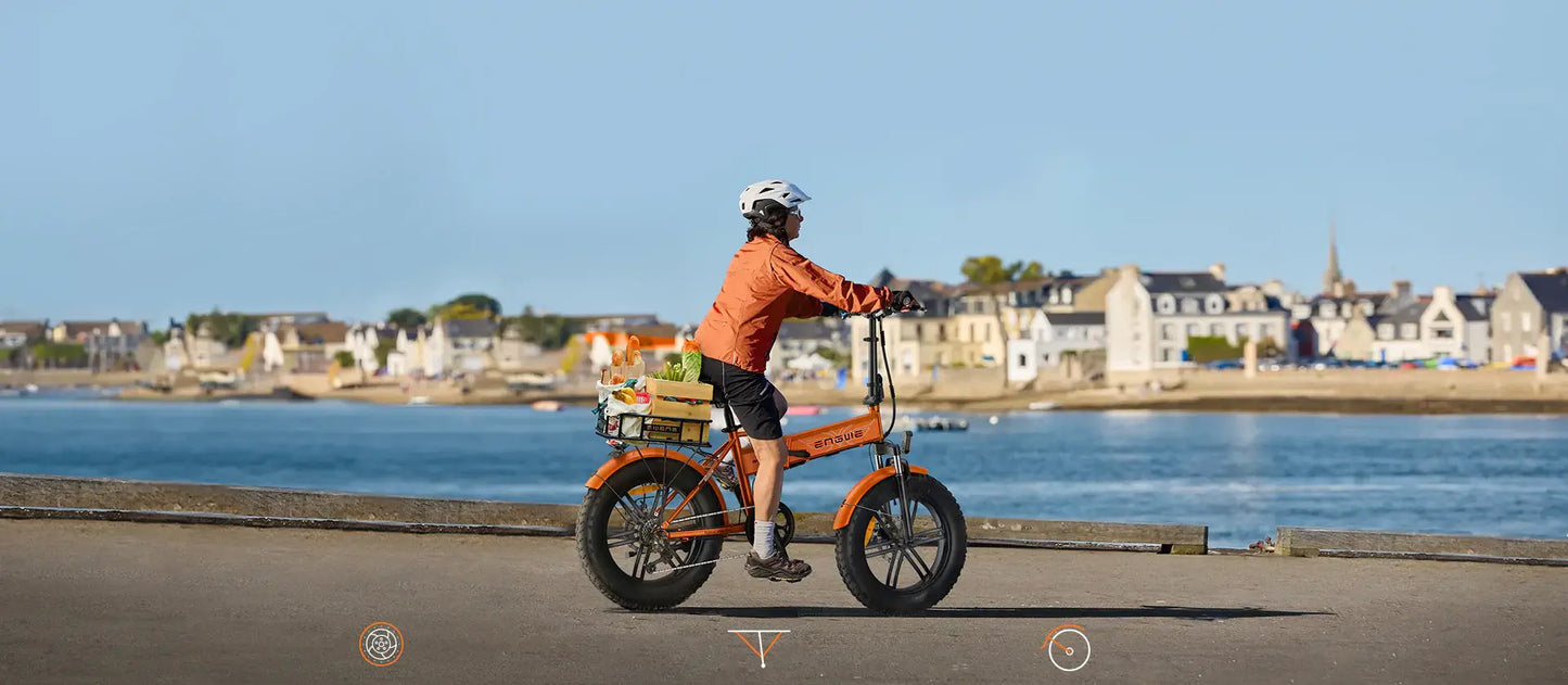 EP-2 Boost Homologada España: Bicicleta eléctrica todoterreno plegable y con boton de impulso, Motor 250 W y 120 km de autonomia