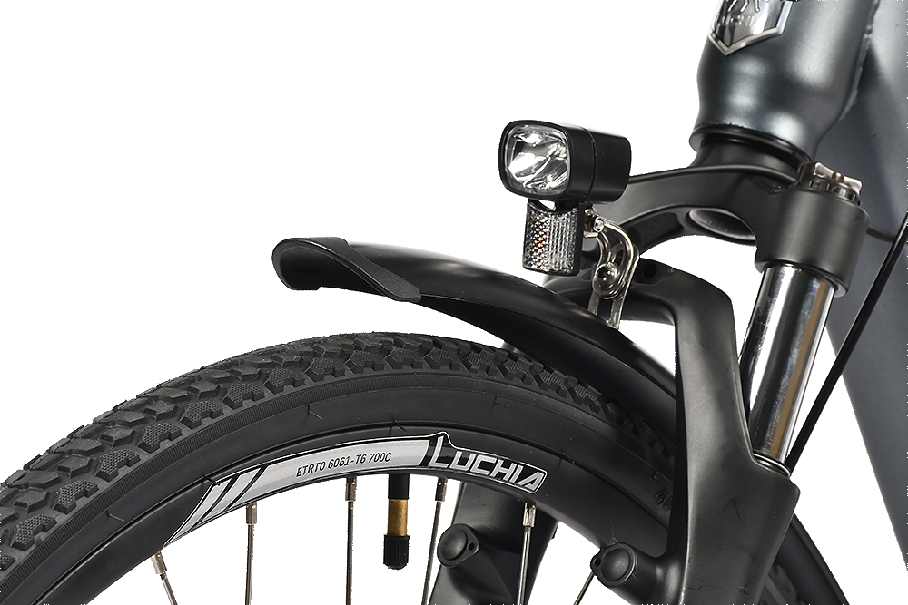¡Descubre el Poder de la Libertad! Bicicleta Eléctrica de Paseo Antares: Motor de 250W para una Experiencia sin Límites en una Rueda de 29"