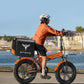 EP-2 Boost Homologada España: Bicicleta eléctrica todoterreno plegable y con boton de impulso, Motor 250 W y 120 km de autonomia