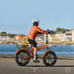 EP-2 Boost Homologada España: Bicicleta eléctrica todoterreno plegable y con boton de impulso, Motor 250 W y 120 km de autonomia