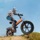 EP-2 Boost Homologada España: Bicicleta eléctrica todoterreno plegable y con boton de impulso, Motor 250 W y 120 km de autonomia