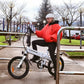 Bicicleta Eléctrica Ibiza Dogma 04 con Motor 250W, Batería Samsung y Ruedas 20"