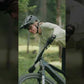 Ciclista usando la montura Raymon Airok Ultra en un sendero forestal, mostrando destreza y velocidad.